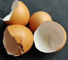 48-Year-Old Man Beaten to Death Over Egg Shells at Dompim in Tarkwa Nsuaem 48-Year-Old Man Beaten to Death Over Egg Shells at Dompim in Tarkwa Nsuaem
